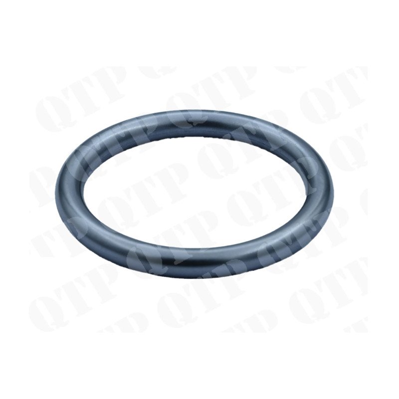 Injector O Ring