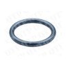 Injector O Ring