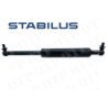 Gas Strut Bonnet