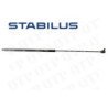 Gas Strut Bonnet