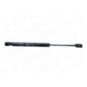 Gas Strut Cab Fendt