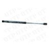 Gas Strut Rear Window