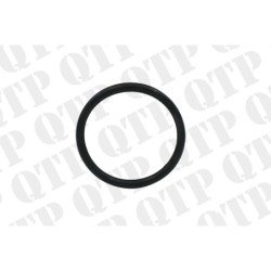 Fuel Pump O-Ring
